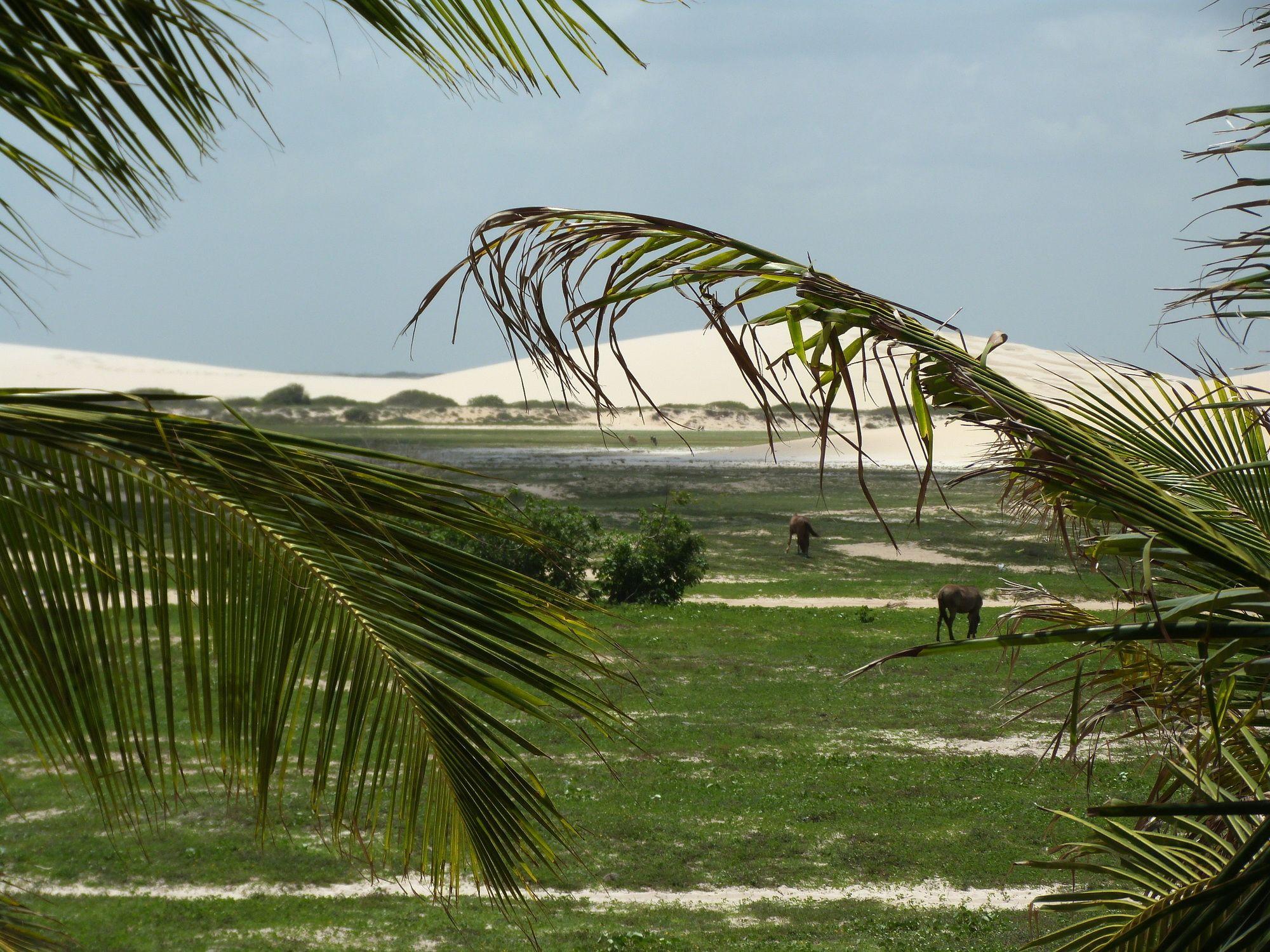 Pousada Mahi Jijoca de Jericoacoara Exterior foto