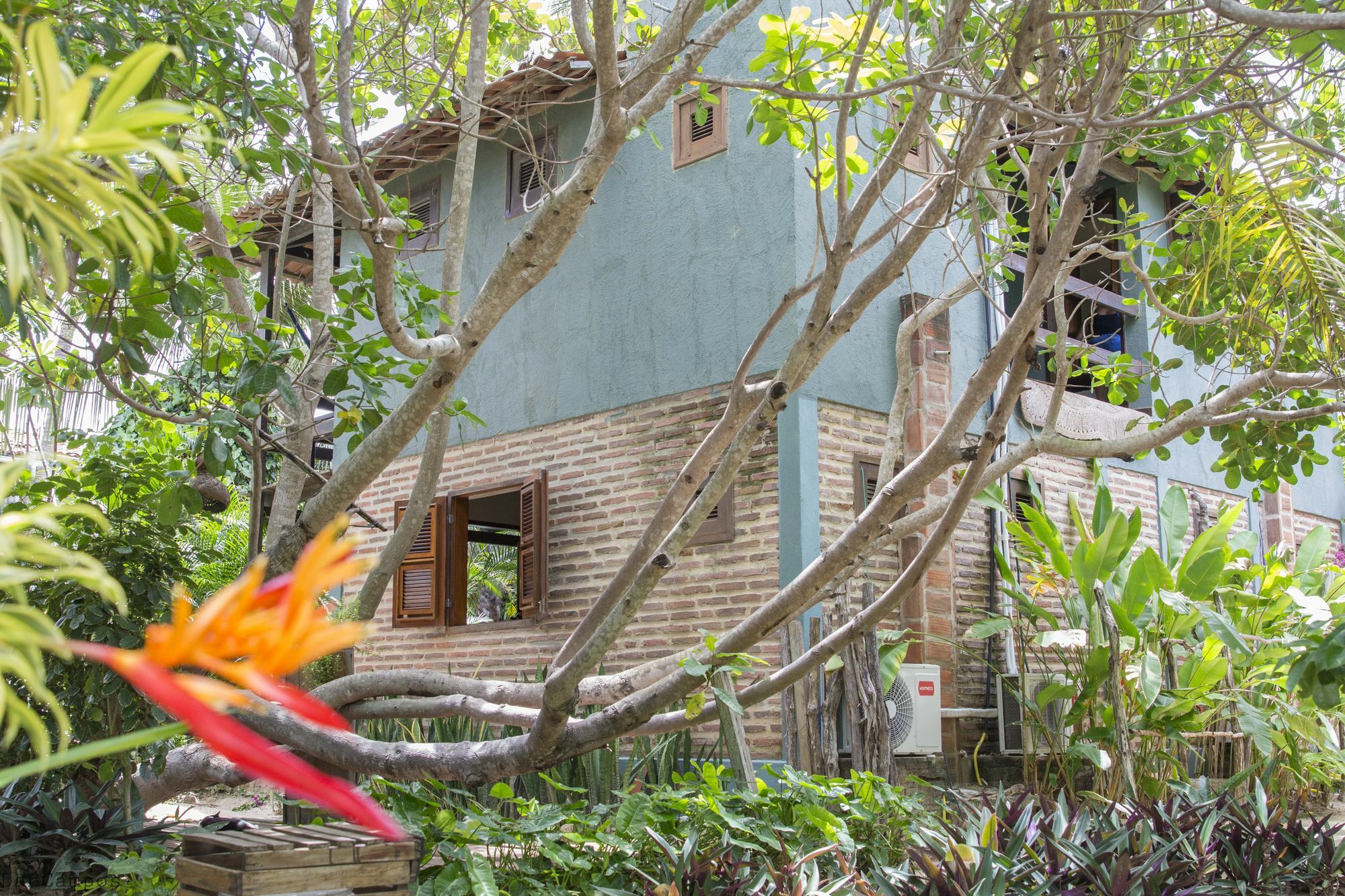 Pousada Mahi Jijoca de Jericoacoara Exterior foto